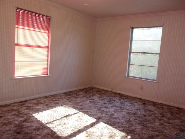 unfurnished room with plenty of natural light, carpet floors, and ornamental molding