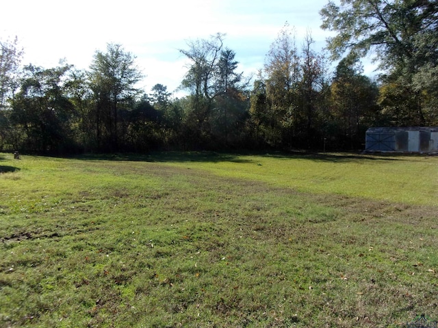 view of yard with a storage unit