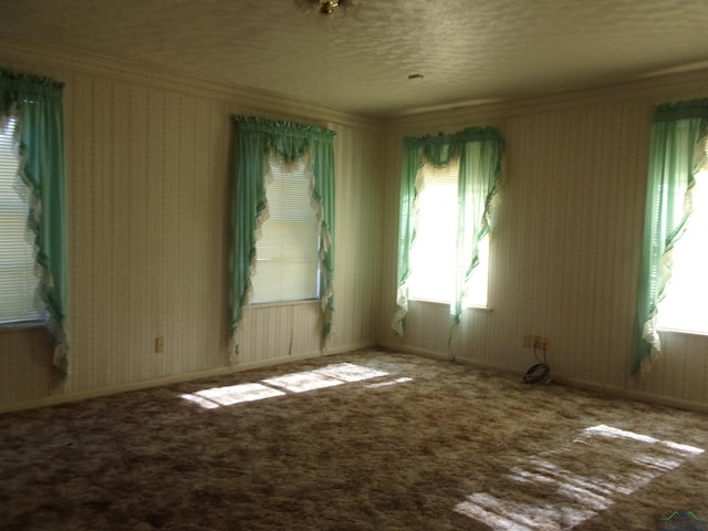 carpeted spare room featuring ornamental molding and a textured ceiling