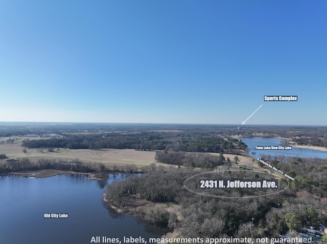 2431 N Jefferson Ave, Mount Pleasant, TX 75455 - photo 1