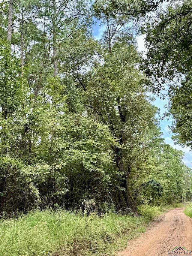 view of local wilderness