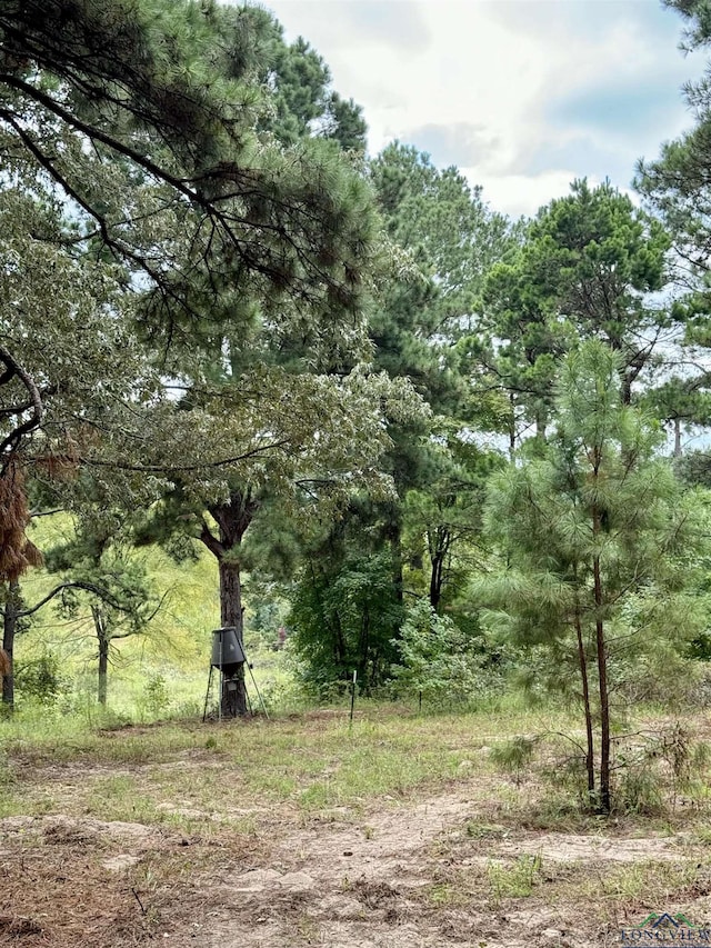 view of local wilderness