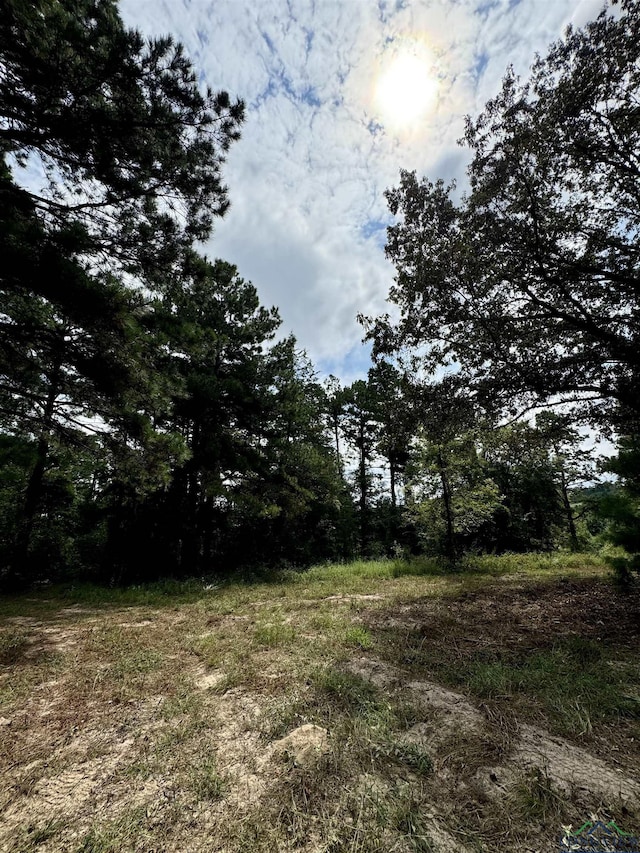 view of local wilderness