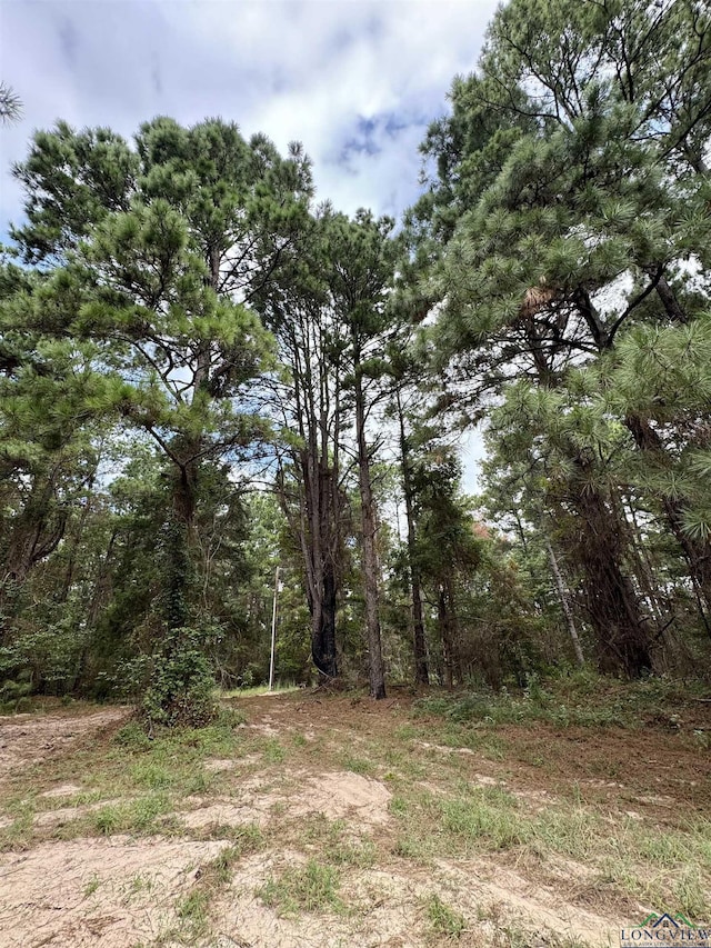 view of local wilderness