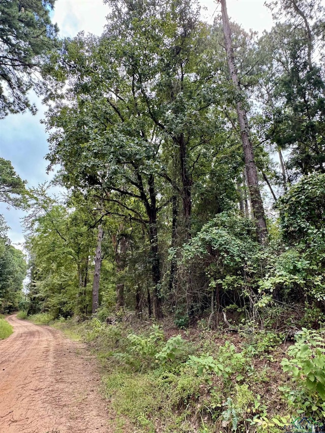 view of road