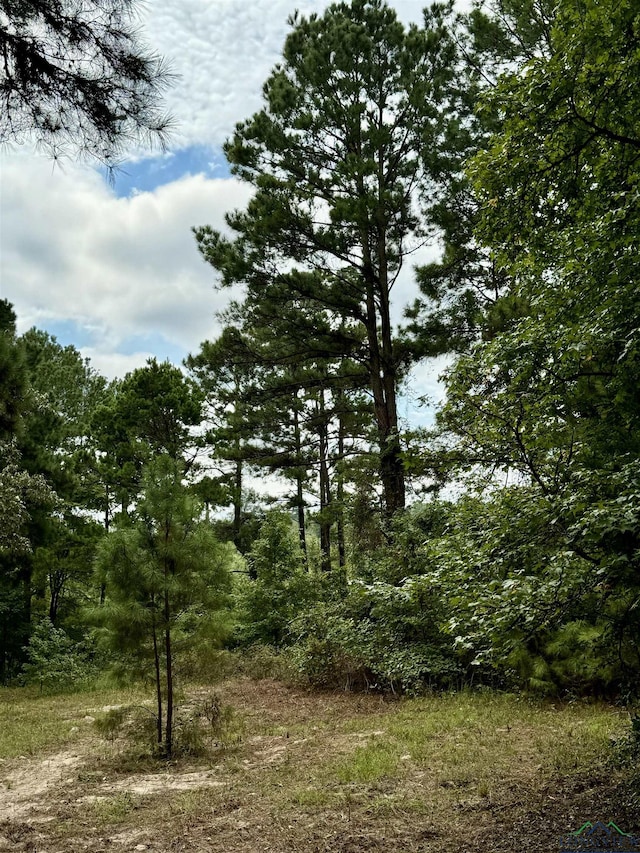 view of landscape