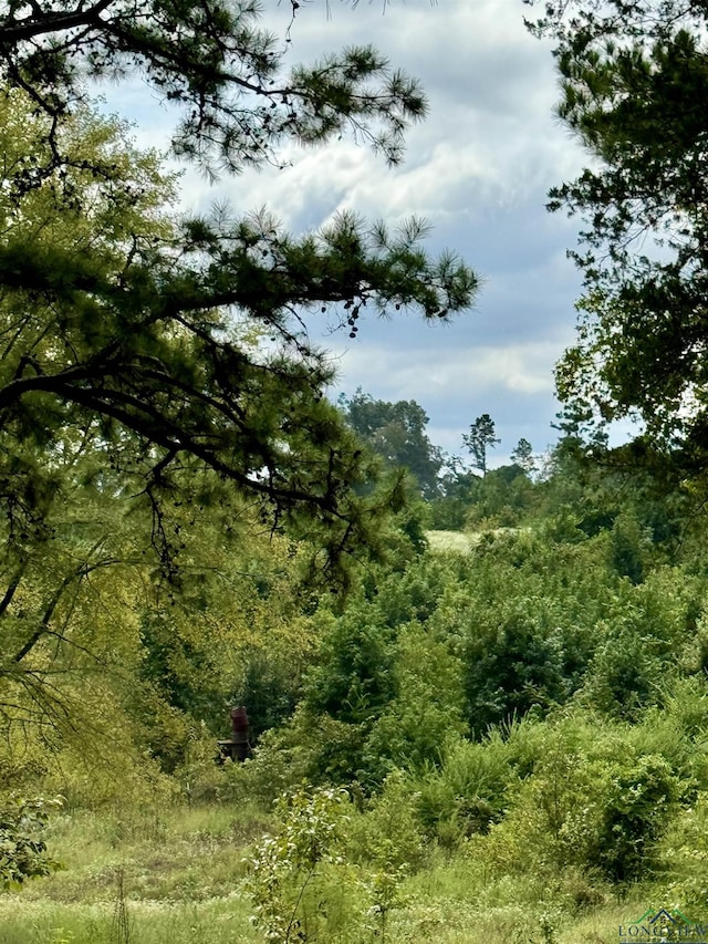 view of landscape