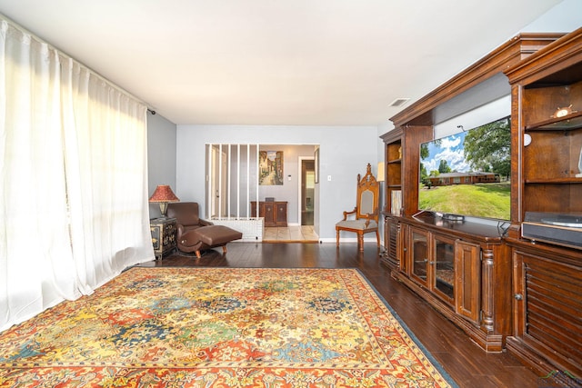 interior space with dark hardwood / wood-style floors and multiple windows