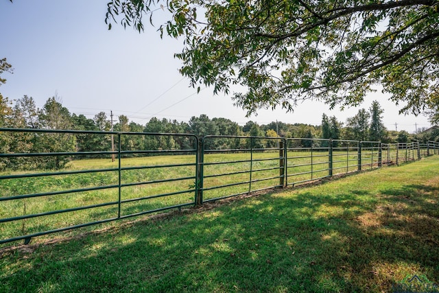 view of yard featuring a rural view