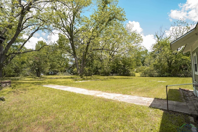 view of yard