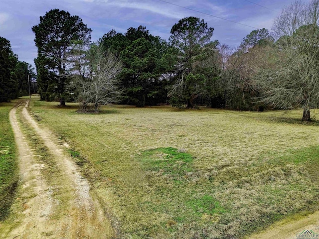 view of yard featuring dirt driveway and a wooded view