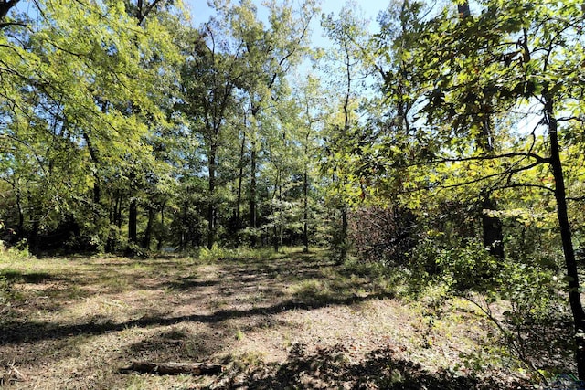 Listing photo 3 for LOT16, BLOCK3 John Dean Rd, Gilmer TX 75644