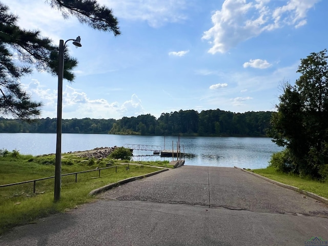 view of water feature featuring a boat dock