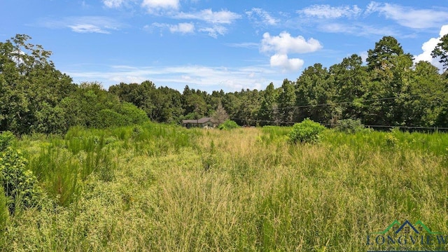 496 County Road 4081, Timpson, TX 75975 - photo 14