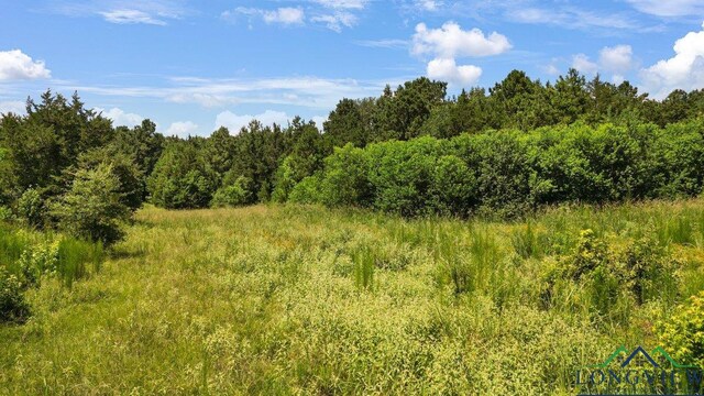 496 County Road 4081, Timpson, TX 75975 - photo 13