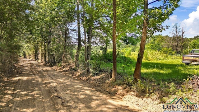 496 County Road 4081, Timpson, TX 75975 - photo 18