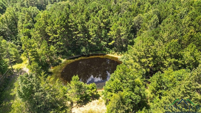 496 County Road 4081, Timpson, TX 75975 - photo 2
