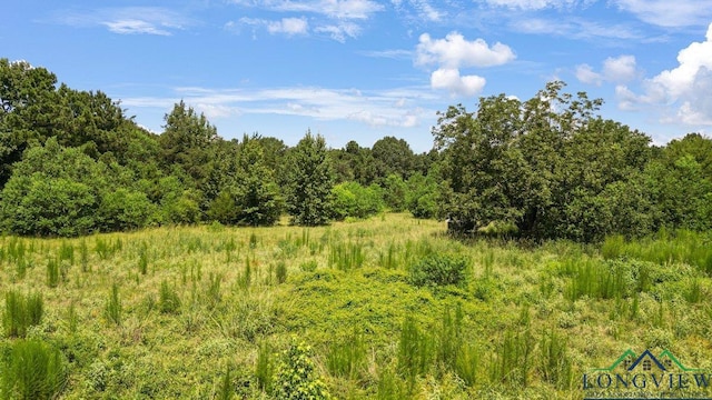 496 County Road 4081, Timpson, TX 75975 - photo 15