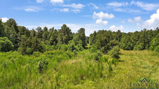 496 County Road 4081, Timpson, TX 75975 - photo 12