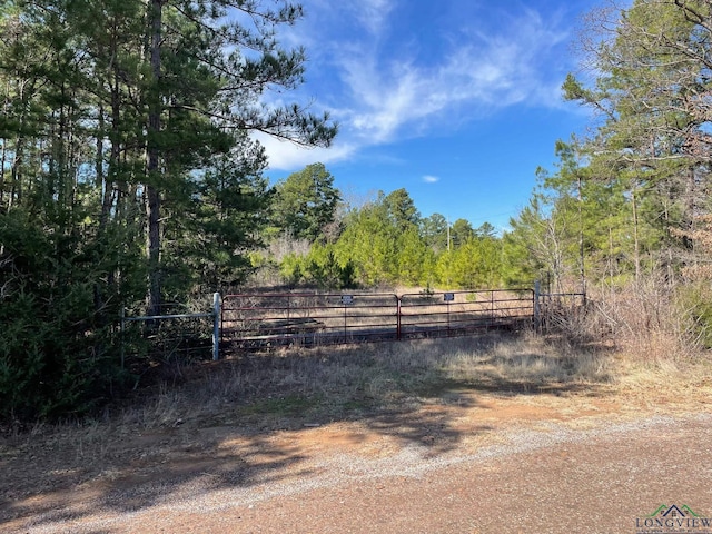 Listing photo 3 for TBD Persimmon Rd, Big Sandy TX 75755