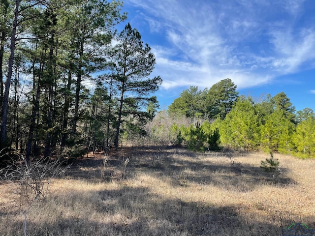 Listing photo 2 for TBD Persimmon Rd, Big Sandy TX 75755