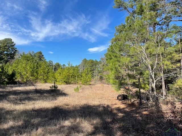 TBD Persimmon Rd, Big Sandy TX, 75755 land for sale