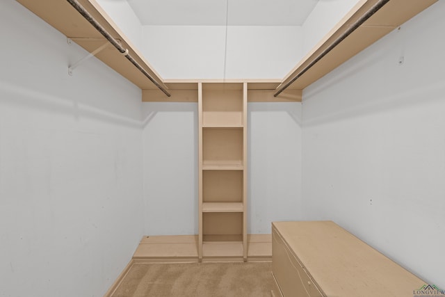 spacious closet with light colored carpet