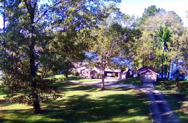 view of community featuring a yard