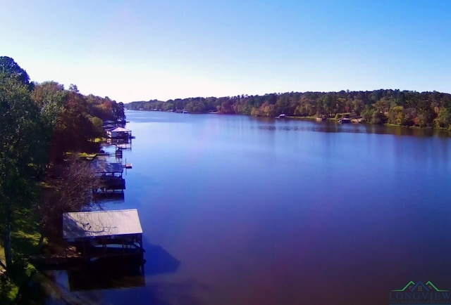 3073 E Lake Dr, Gladewater, TX 75647 - water view with a dock and a forest