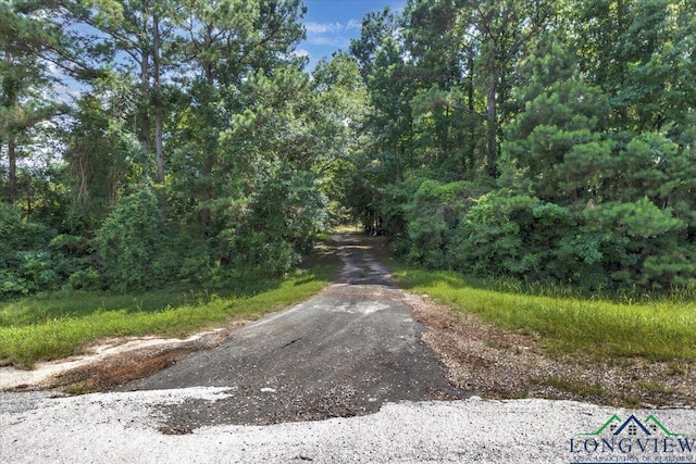 5727 Fm 999, Gary, TX 75643 - photo 44