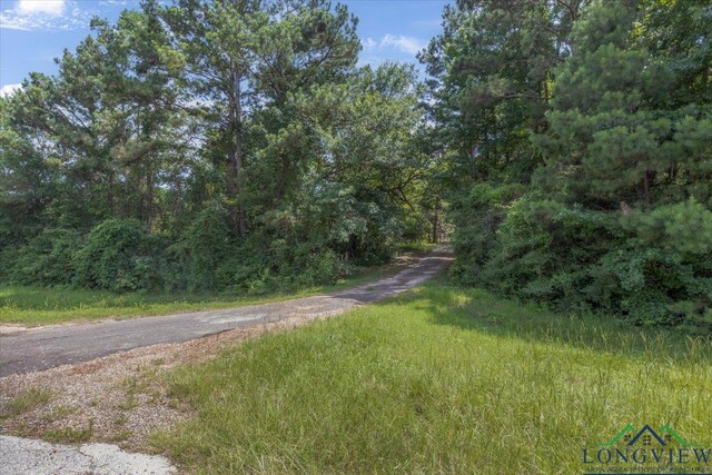 5727 Fm 999, Gary, TX 75643 - photo 45