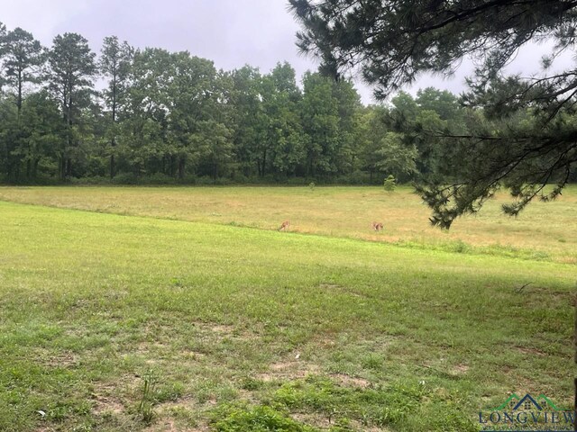 5727 Fm 999, Gary, TX 75643 - photo 49