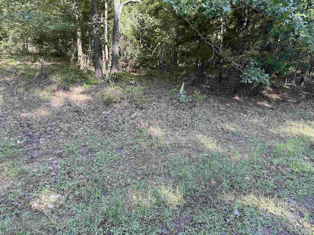 TBD Seminole Loop, Jefferson, TX 75657 - photo 1