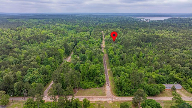 TBD Seminole Loop, Jefferson, TX 75657 - photo 6