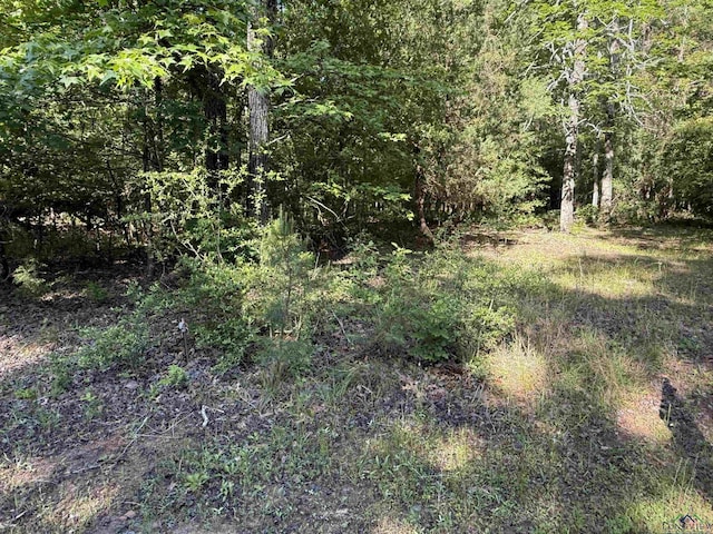 TBD Seminole Loop, Jefferson, TX 75657 - photo 3