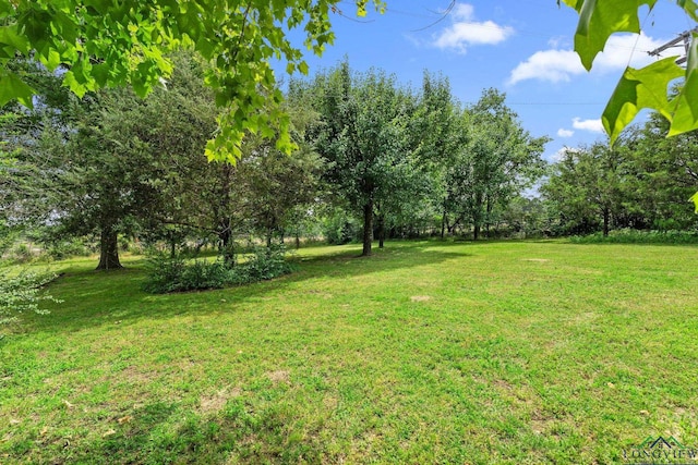 6940 Fm 778, Hawkins, TX 75765 - view of green lawn