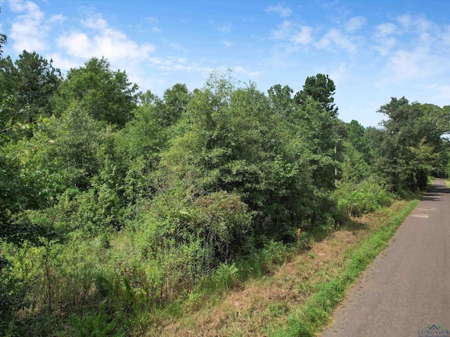 TBD Lilac Lane, Gilmer TX, 75645 land for sale