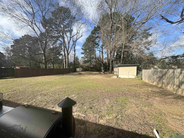 view of yard with a shed