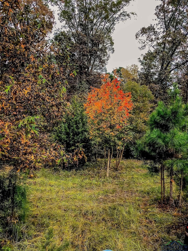 28AC Fm 134, Jefferson, TX 75657 - photo 6