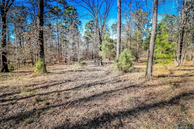 28AC Fm 134, Jefferson, TX 75657 - photo 26