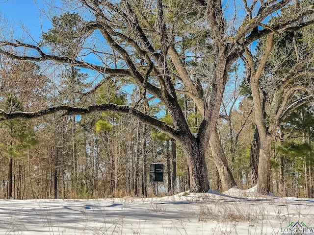 28AC Fm 134, Jefferson, TX 75657 - photo 11