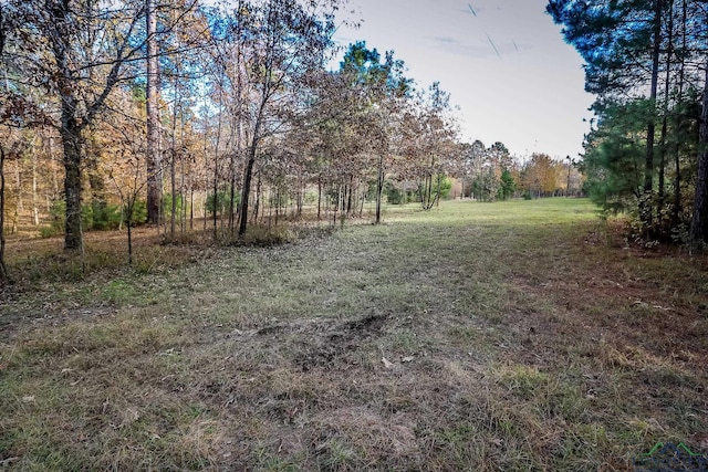 28AC Fm 134, Jefferson, TX 75657 - photo 19