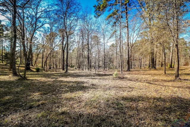 28AC Fm 134, Jefferson, TX 75657