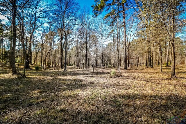 28AC Fm 134, Jefferson, TX 75657 - photo 24
