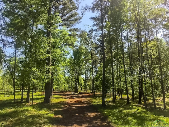 28AC Fm 134, Jefferson, TX 75657 - photo 17