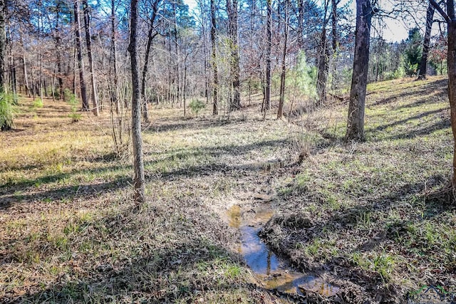 28AC Fm 134, Jefferson, TX 75657 - photo 29