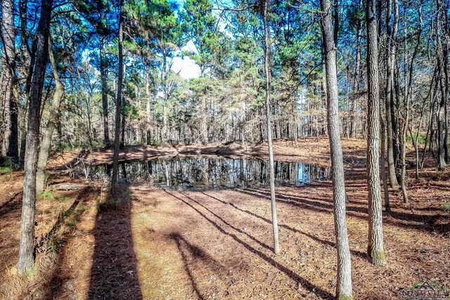 28AC Fm 134, Jefferson, TX 75657 - photo 21