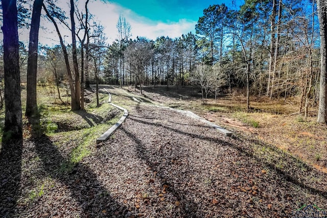 28AC Fm 134, Jefferson, TX 75657 - photo 27