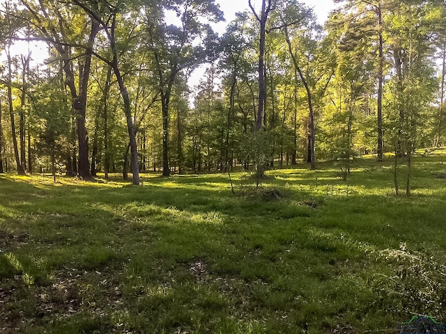 28AC Fm 134, Jefferson, TX 75657 - photo 18