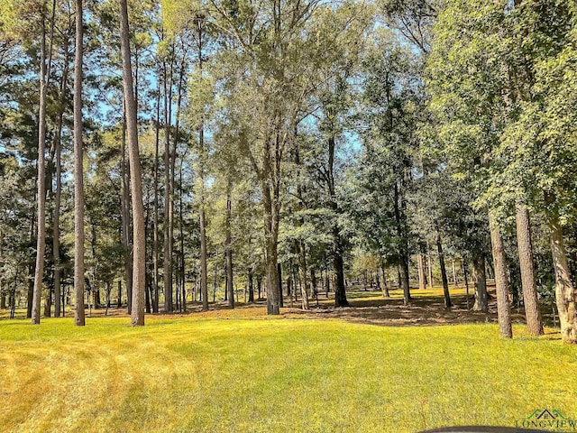 28AC Fm 134, Jefferson, TX 75657 - photo 1